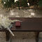 DSCF5123.jpg