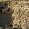 S0A4402.jpg