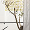 0O0A8334-web.jpg